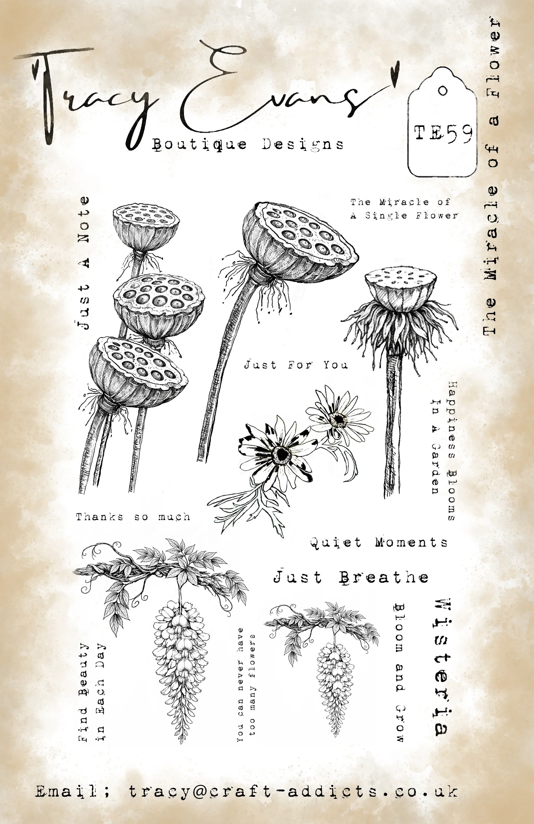 ฟ็อกซ์แพลตฟอร์มส์ ไทล์ส ฟลาวเว - Candle Making Books บทวิจารณ์และราคา